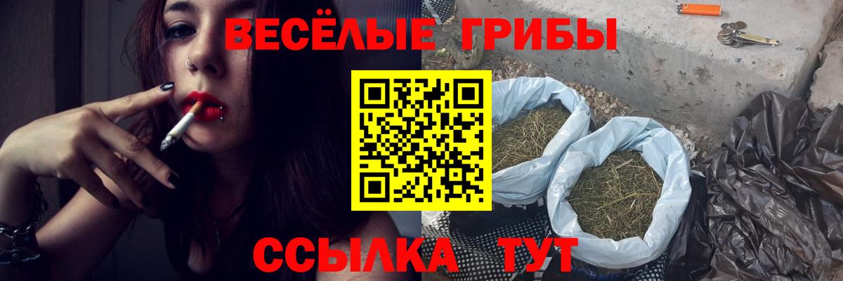 Псилоцибиновые грибы мухоморы  Псилоцибиновые грибы Magic Shrooms  Вход с VPN  Апатиты 