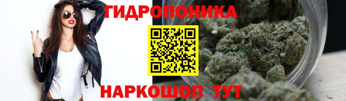 Шишки марихуана Ganja  Конопля план  Апатиты  Шишки марихуана White Widow  Вход с VPN  Каннабис SATIVA & INDICA 